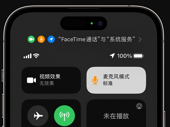 虹口苹果授权维修网点分享iPhone在通话时让你的声音更清晰 