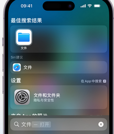 虹口apple维修中心分享iPhone文件应用中存储和找到下载文件 