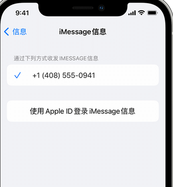 虹口apple维修iPhone上无法正常发送iMessage信息 