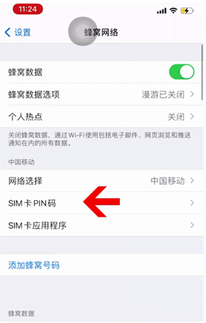 虹口苹果14维修网分享如何给iPhone14的SIM卡设置密码 