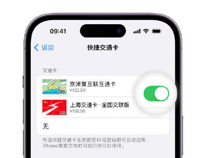 虹口apple维修点分享iPhone上更换Apple Pay快捷交通卡手绘卡面 