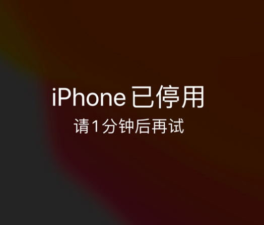 虹口苹果手机维修分享:iPhone 显示“不可用”或“已停用”怎么办？还能保留数据吗？ 