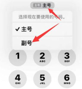 虹口苹果14维修店分享iPhone 14 Pro Max使用副卡打电话的方法 