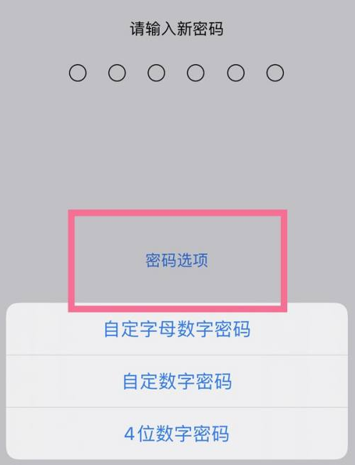 虹口苹果14维修分享iPhone 14plus设置密码的方法 