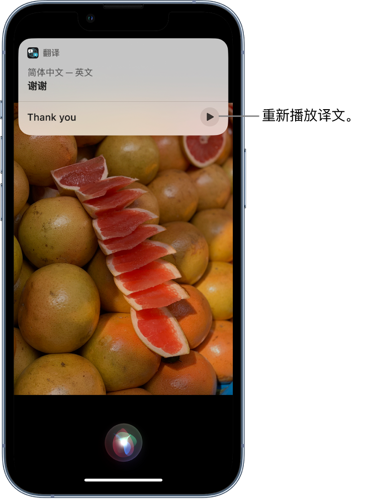 虹口苹果14维修分享 iPhone 14 机型中使用 Siri：了解 Siri 能帮你做什么 