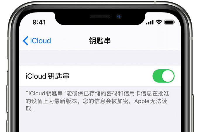 虹口苹果手机维修分享在 iPhone 上开启 iCloud 钥匙串之后会储存哪些信息 