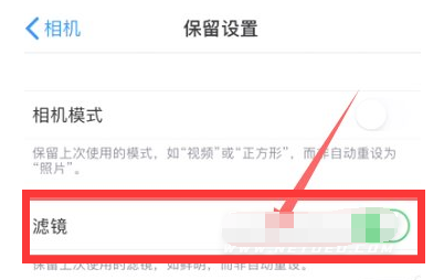 虹口苹果13维修分享iPhone13拍照有绿点是怎么回事 