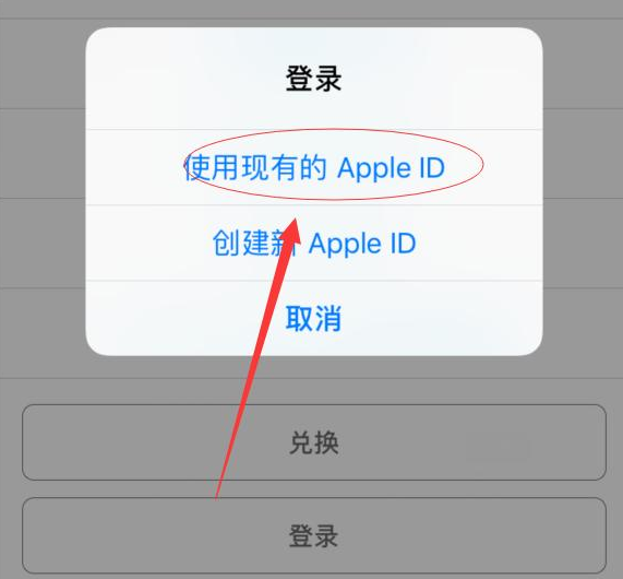 虹口苹果手机维修分享两台iPhone设备可以同时登录一个Apple ID吗 