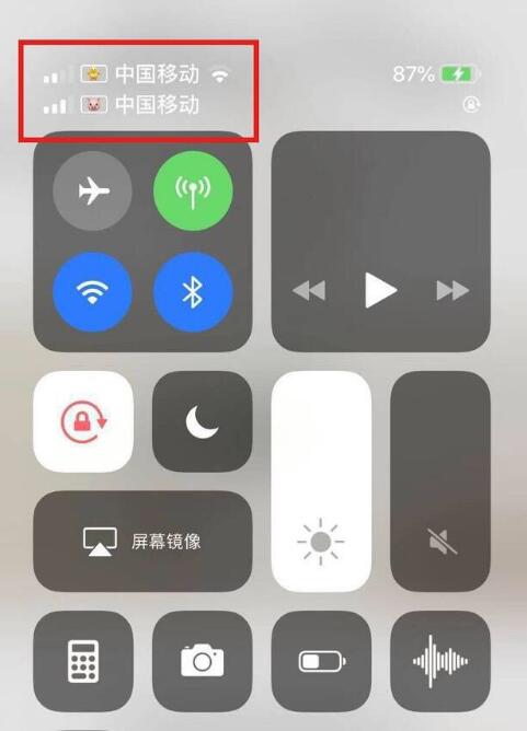 虹口苹果手机维修分享为 iPhone 12 双卡设置标签 