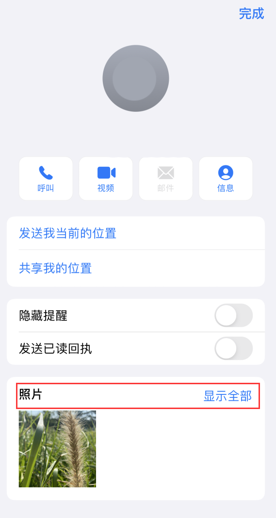 虹口苹果手机维修分享如何快速查找 iMessage 信息中的图片等附件 
